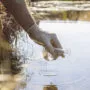 projet usine Eau potable de Paris