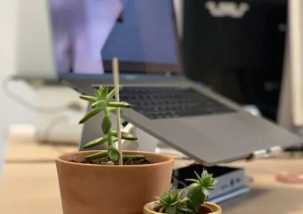 Des plantes sur un des bureaux de LunaWeb