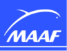 Logo client - Maaf