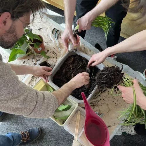 Une des nombreuses initiatives RSE chez LunaWeb : une séance d'échanges de graines, plantes et boutures