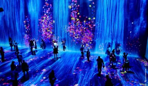 Expérience muséale exemple, image issue de https://www.gcommeuneidee.com/le-studio-decouvre-teamlab-a-la-villette/