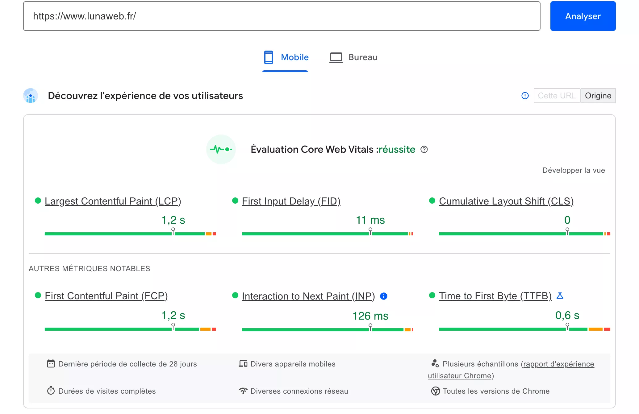 capture écran Google Page Speed